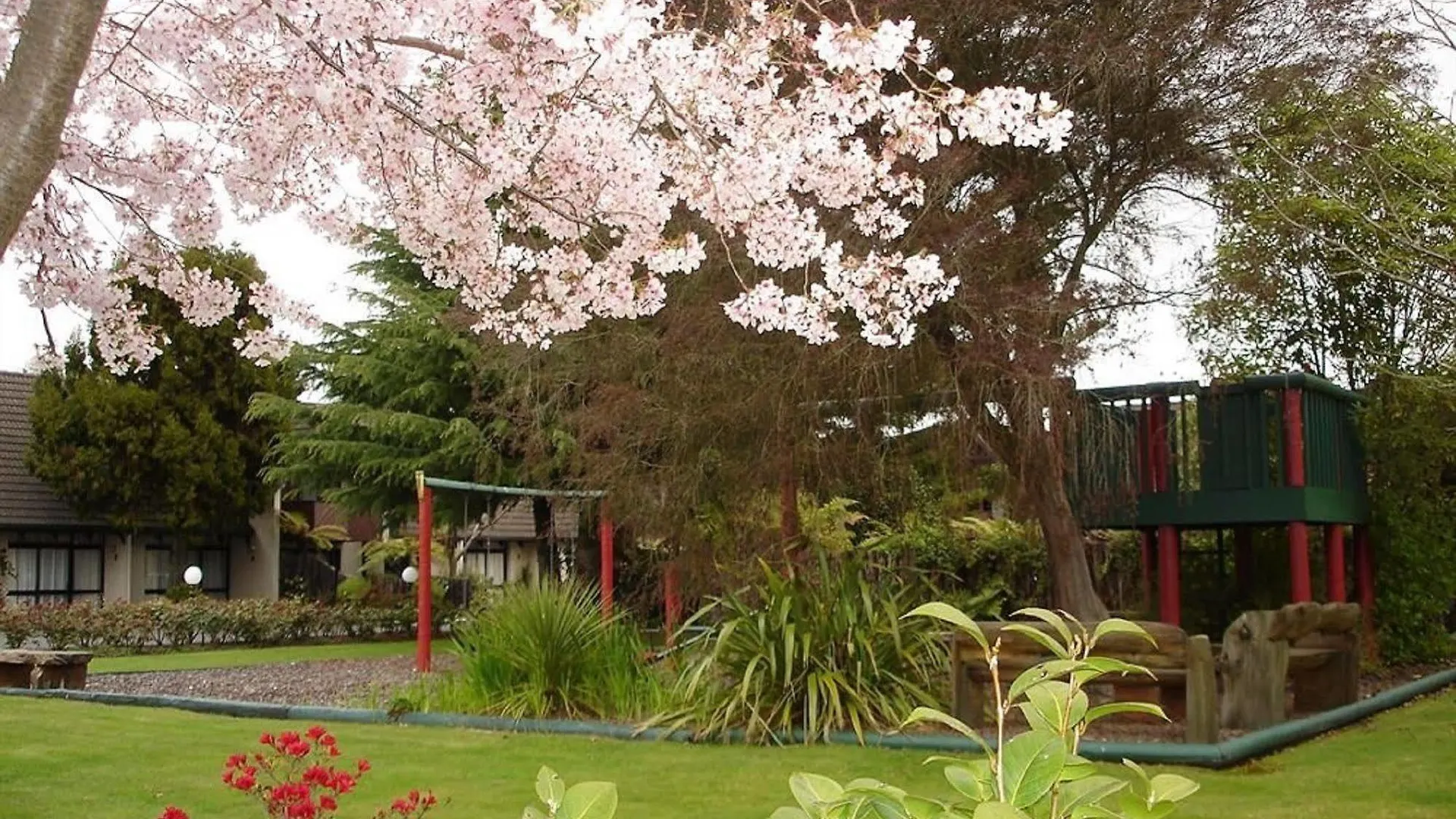 Wylie Court Motor Lodge Rotorua New Zealand